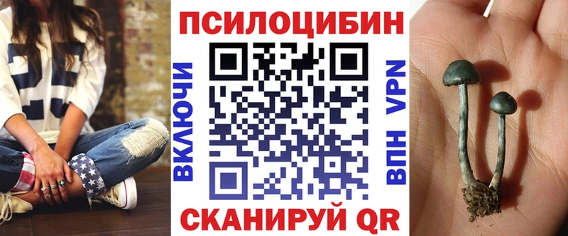 Купить закладки  Южно-Сухокумск  Псилоцибиновые грибы GOLDEN TEACHER 