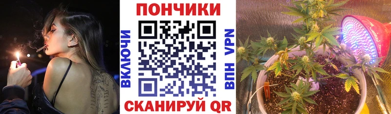 Купить где  Южно-Сухокумск  Шишки марихуана индика 